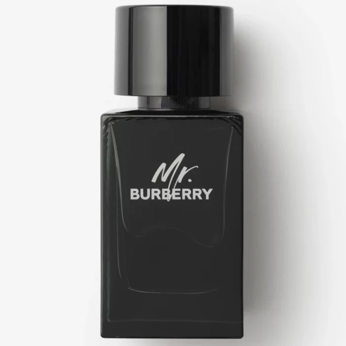 Burberry Mr Burberry Eau De Parfum For Men 100ml