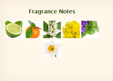 Dolce & Gabbana Velvet Mimosa Bloom Eau De Parfum For Women 50ml - Image 3