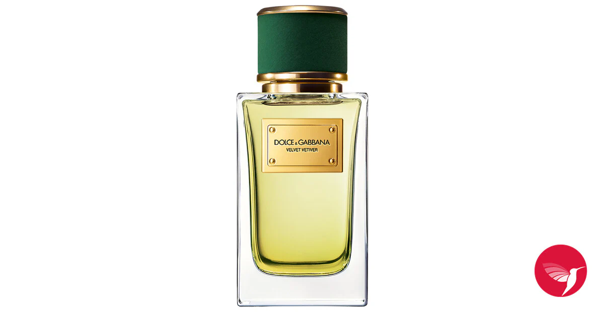 Dolce & Gabbana Velvet Vetiver Eau De Parfum For Unisex 100ml