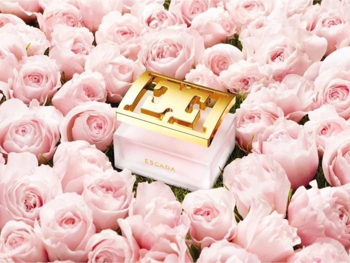 Escada Especially Escada Delicate Notes Eau De Toilette for Women 75ml - Image 3