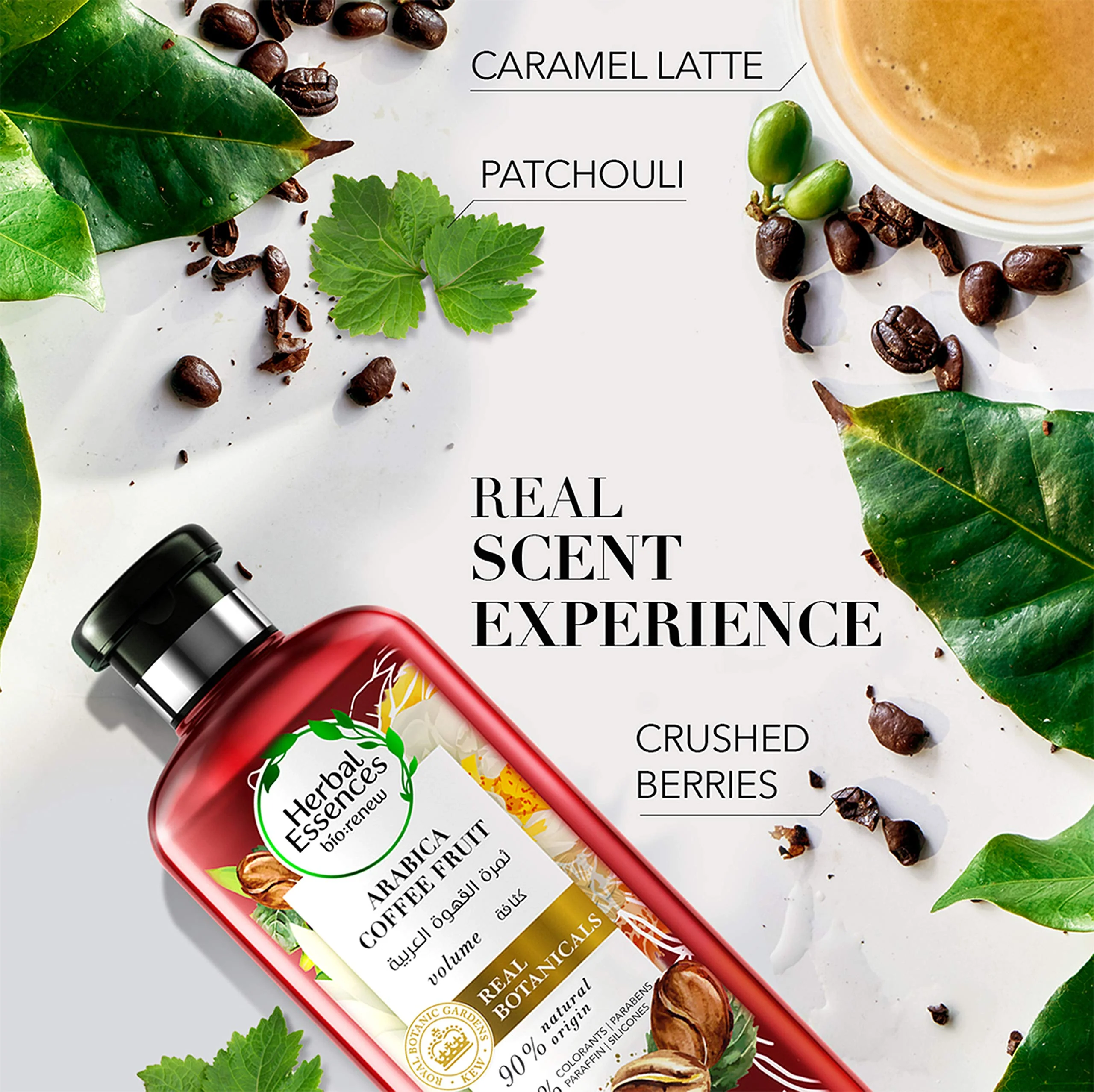 Herbal Essences Bio Renew Fruto De Cafe Arabica Shampoo 400ml - Image 2