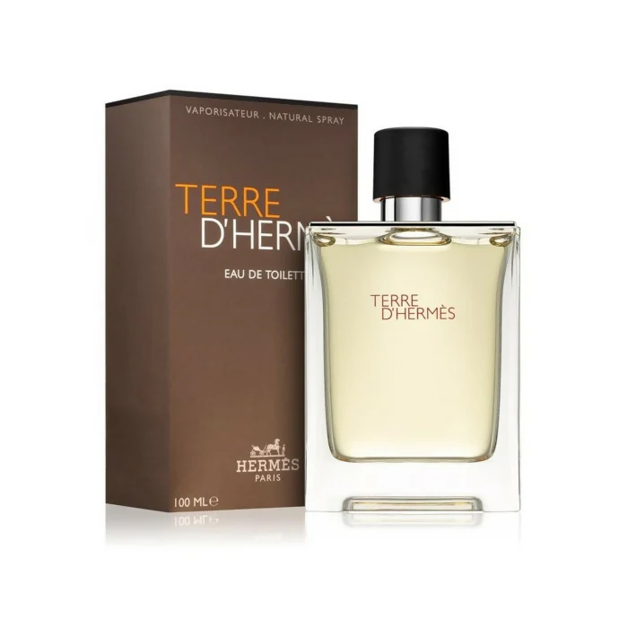 Hermes Terre Dhermes Eau De Toilette For Men 100ml - Image 2