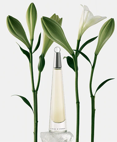 Issey Miyake LEau DIssey Eau De Toilette For Women 100ml - Image 3