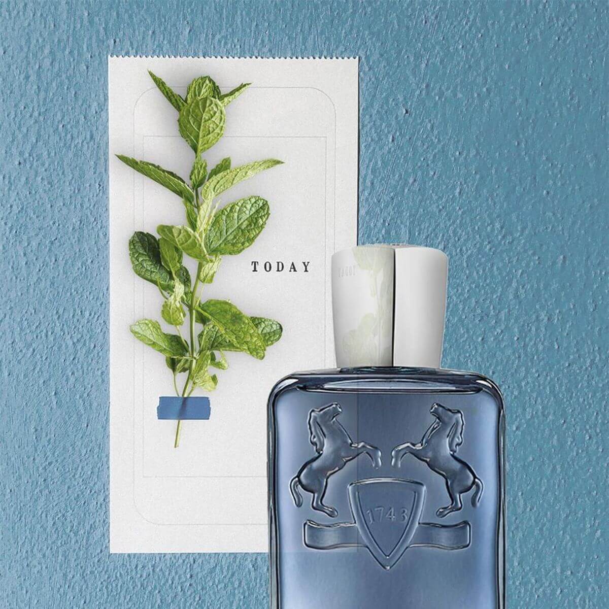 Parfums De Marly Sedley Eau De Parfum For Men 125ml - Image 5