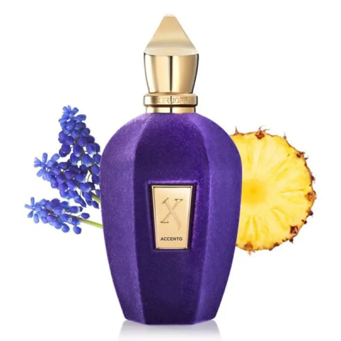 Xerjoff Accento Eau De Parfum For Unisex 100ml - Image 3